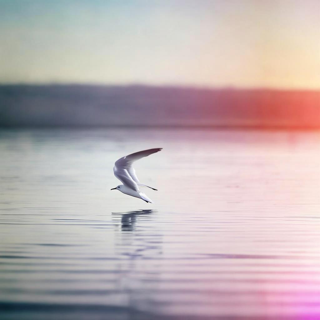 白翅浮鸥